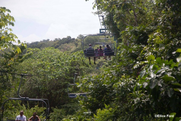 Dunn's River Falls Port Excursion