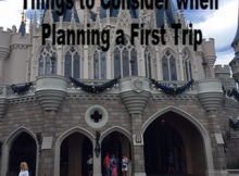 Things to Consider When Planning a First Trip