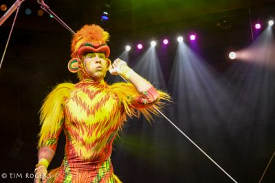 Festival of the Lion King Dining PackageFestival of the Lion King Dining Package