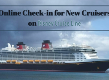 DCL online check-in