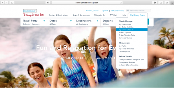 Online check-in for the DCL website