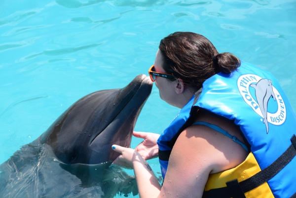 Grand Cayman Dolphin