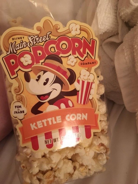 Disney World Snacks