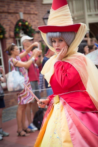 Photographer's Guide to Walt Disney World