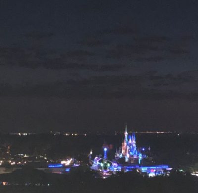 Magic Kingdom View from Bay Lake Tower