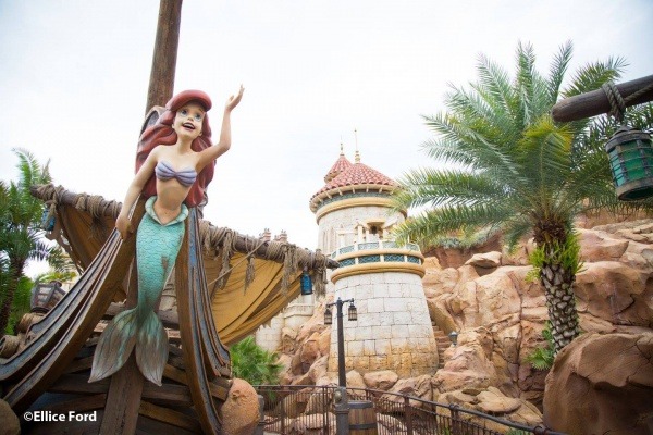 Photographer's Guide to Walt Disney World