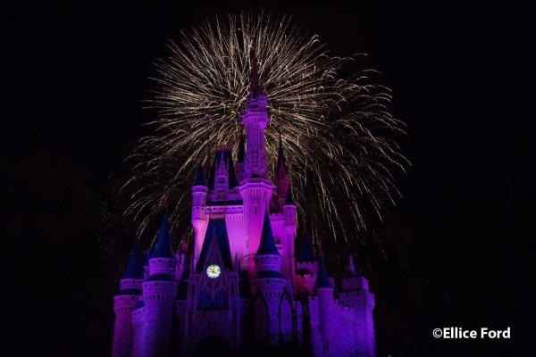 Photographer's Guide to Walt Disney World