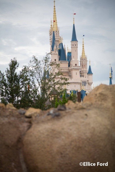 Photographer's Guide to Walt Disney World
