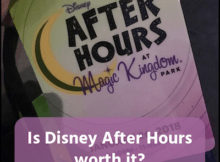 After Hours Lanyard