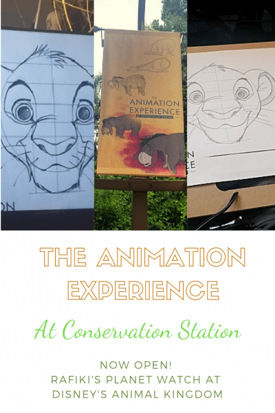 The Animation Experience at Conservation Station