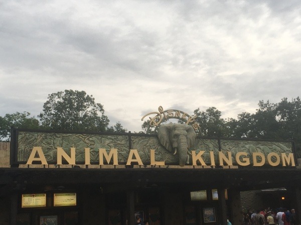 Entrance to Animal Kingdom