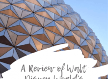 Childcare Service Review