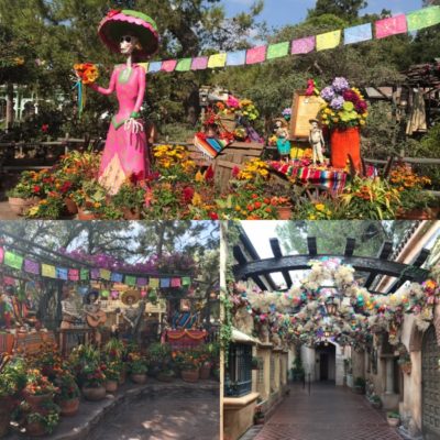 Celebration of the dead in Frontierland