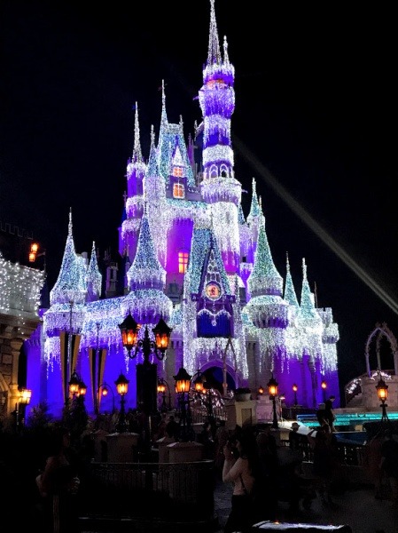 Magic Kingdom Holiday Castle