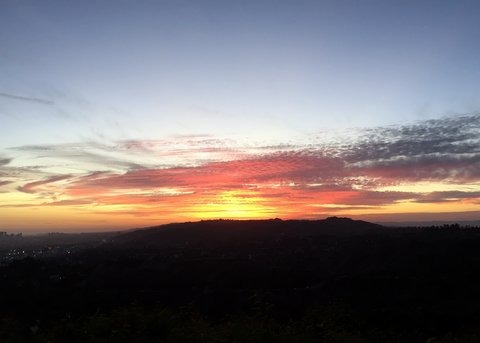 Griffith Observatory -- So Cal side trip | Disneyland Area Destination