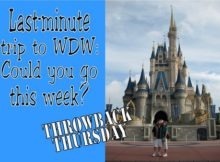 Last-minute trip to Walt Disney World