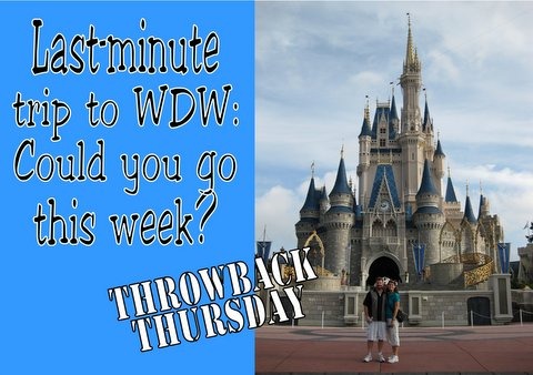 Last-minute trip to Walt Disney World