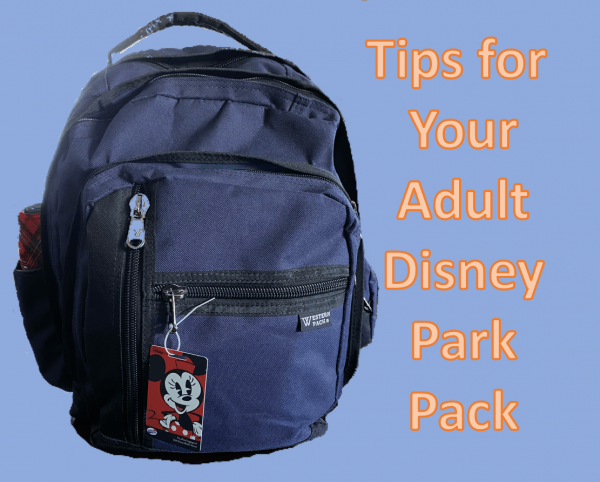 Adult Disney Park Bag