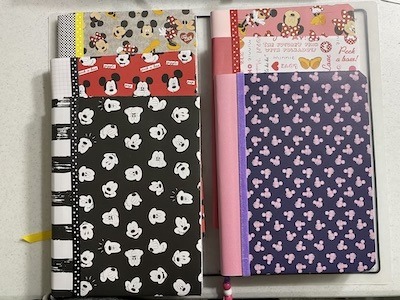 DIY Disney Notebook Samples