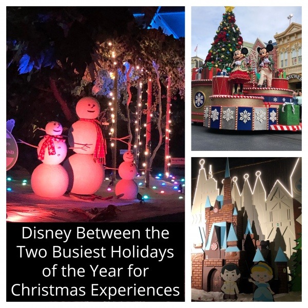 Disney Between the Two Busiest Holidays of the Year for Christmas Experiences