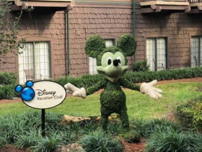 Disney Vacation Club