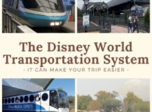 Disnety World Transportation System