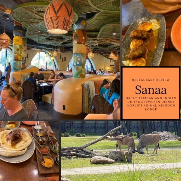 Sanaa de l'hôtel Animal Kingdom Lodge. Sanaa's Sanaa