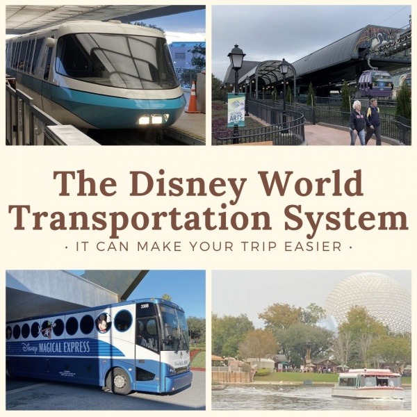 Disnety World Transportation System