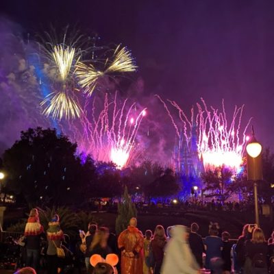 Disney World Fire Works Dinners