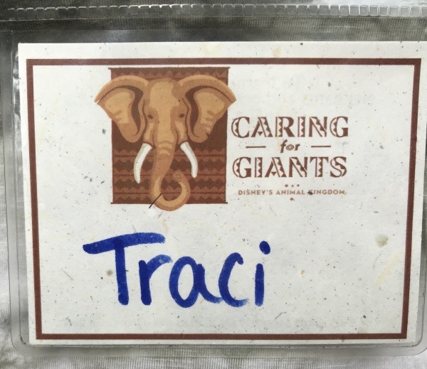 Caring for Giants nametag