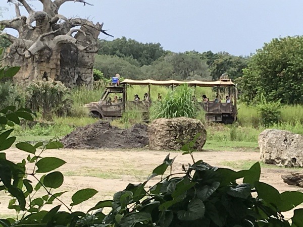 Kilimanjaro Safaris