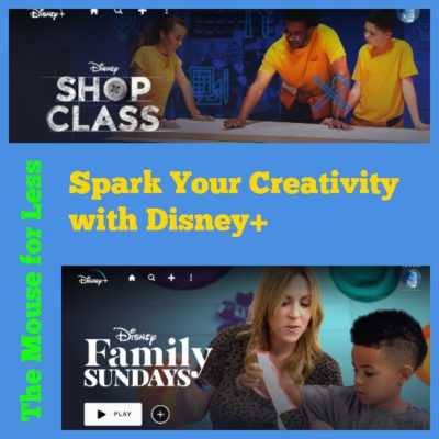 Disney Plus Crafts