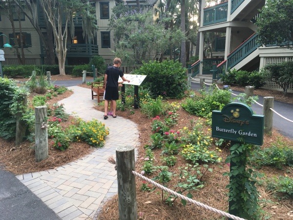 Butterfly Garden at Disney's Hilton Head Island Resort