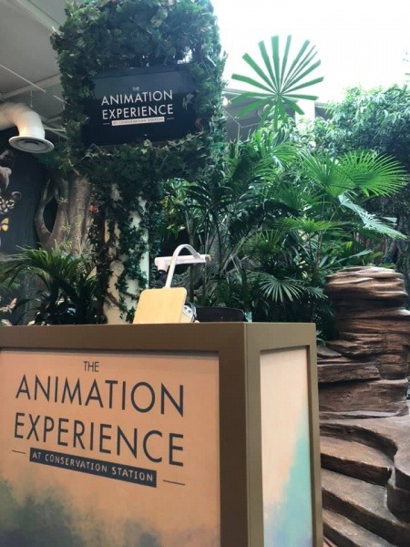 Animation Experience