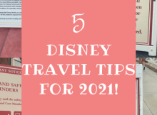 Pin Image Disney Travel Tips