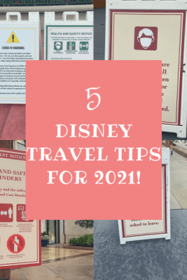 Pin Image Disney Travel Tips