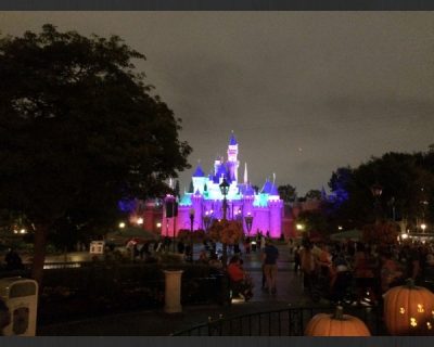 Disneyland Annual Passes