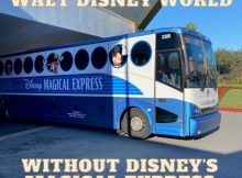 Disney's Magical Express