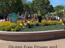 Gluten Free Flower and Garden Festival Booth Food Options!