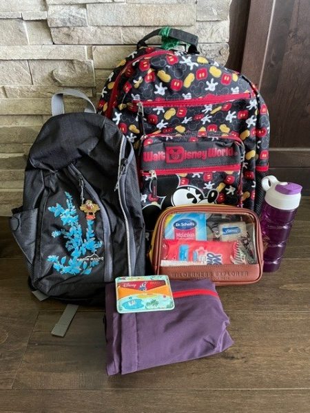 DISNEY TRAVEL & TRIP ESSENTIALS - park bag must haves, disney