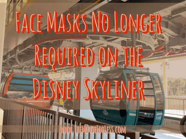 Face Coverings Walt Disney World