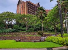 Aulani Vegetarian