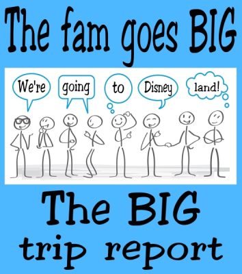 BIG Disneyland trip report
