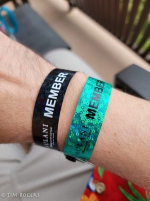 Wrist Bands