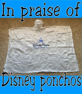 In praise of Disney ponchos