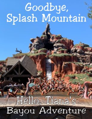 Goodbye Splash Mountain