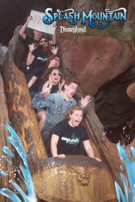 Goodbye Splash Mountain