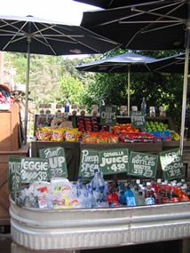 Disneyland Snack Cart