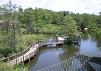 Observation Tower