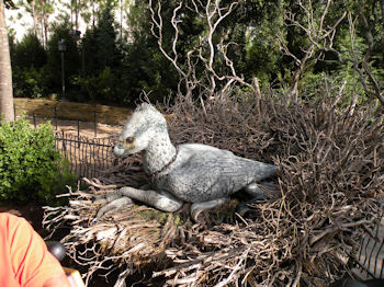 Hippogriff